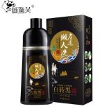 植物一洗黑染发剂 遮盖白发一支黑 懒人洗洗发露焗油膏(50g)